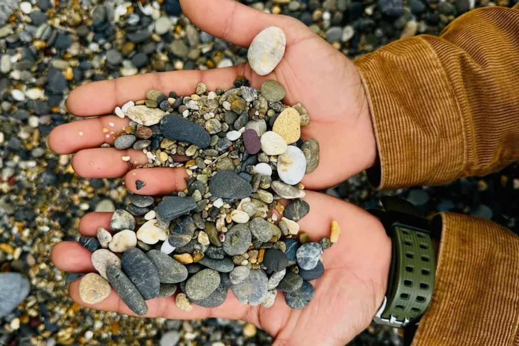 Two hands holding a mix of small beach pebbles collected from a rocky shore